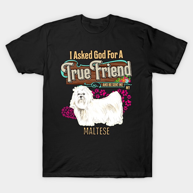 Maltese  Gifts - I Asked God For A Friend And He Sent Me My Maltese .  Gifts For Maltese  Moms, Dads & Owners T-Shirt by StudioElla